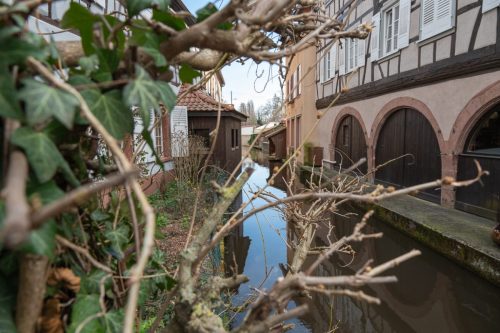 weissenburg-018-20250323